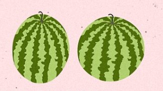 Escolher melancia pelo formado da fruta